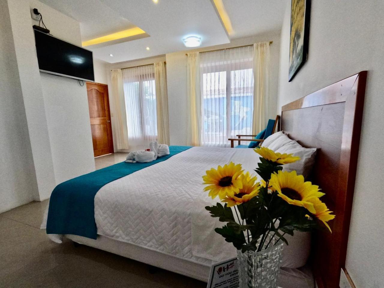 Galapagos Isabela Hotel Loja Пуэрто-Вильямиль Номер фото