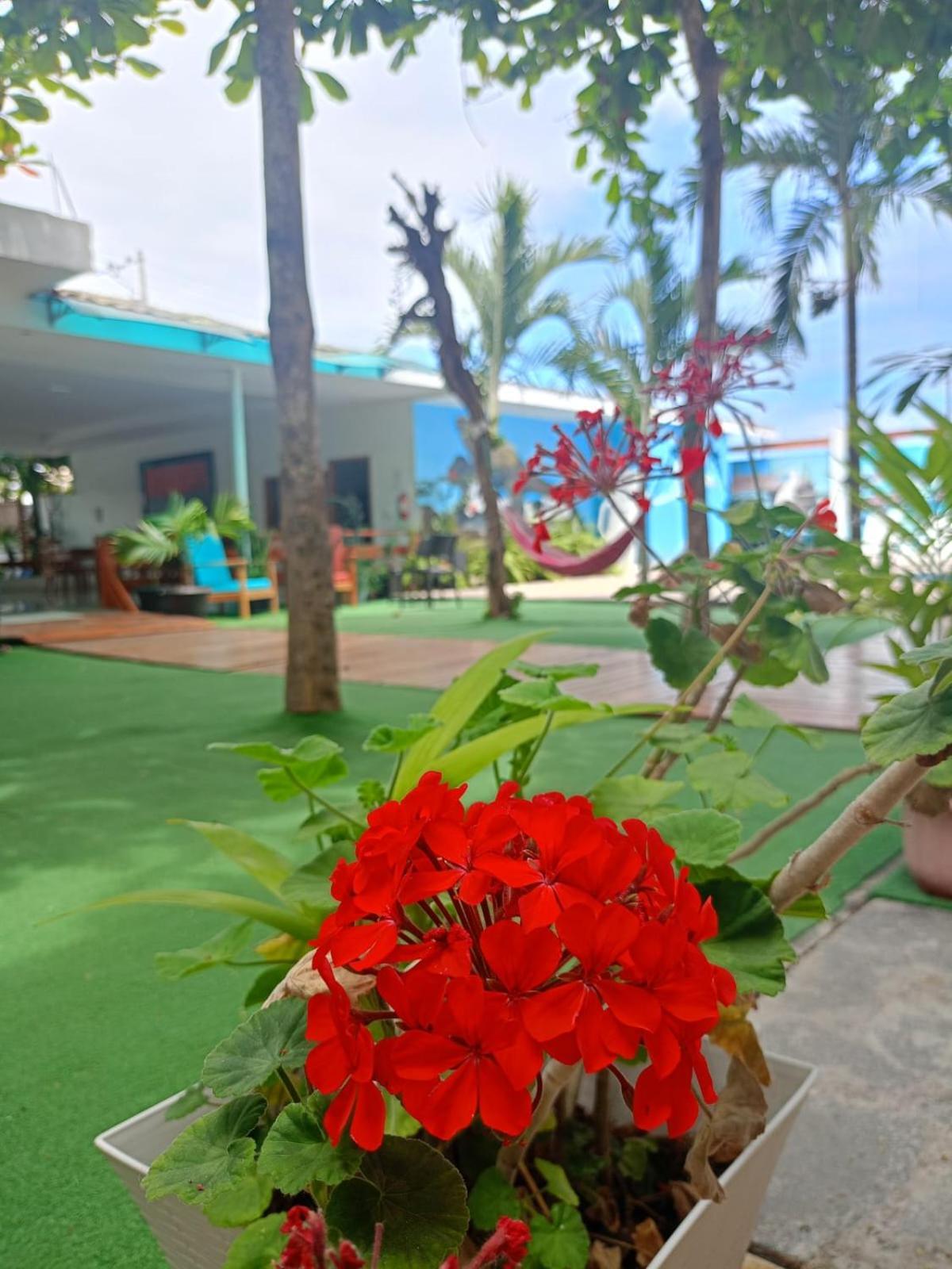 Galapagos Isabela Hotel Loja Пуэрто-Вильямиль Экстерьер фото